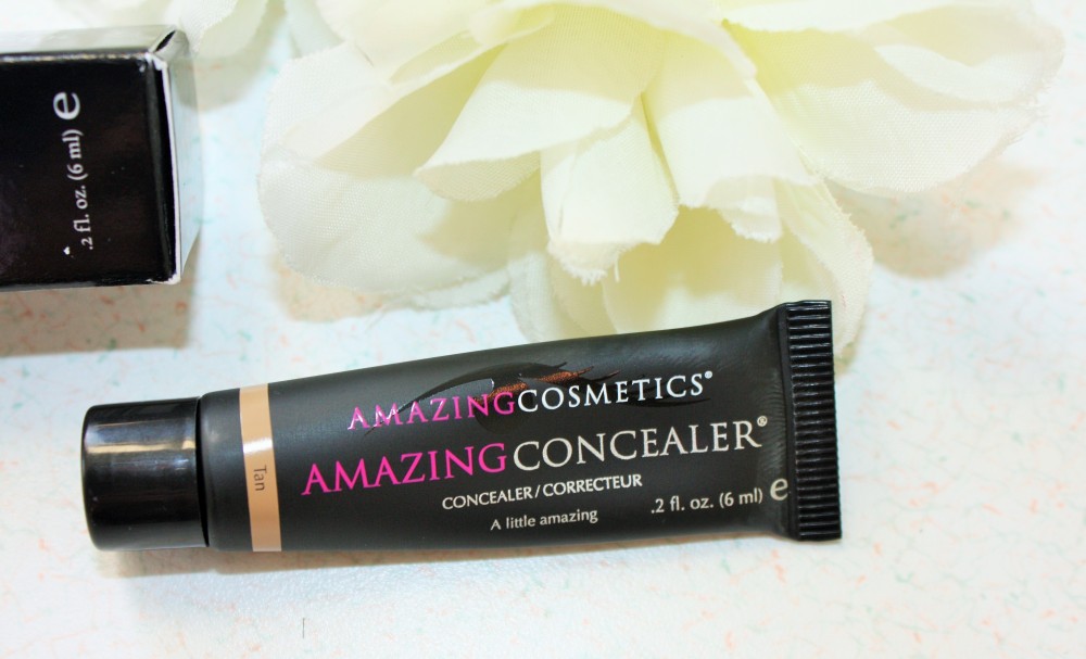 Amazing Cosmetics Amazing Concealer Review001