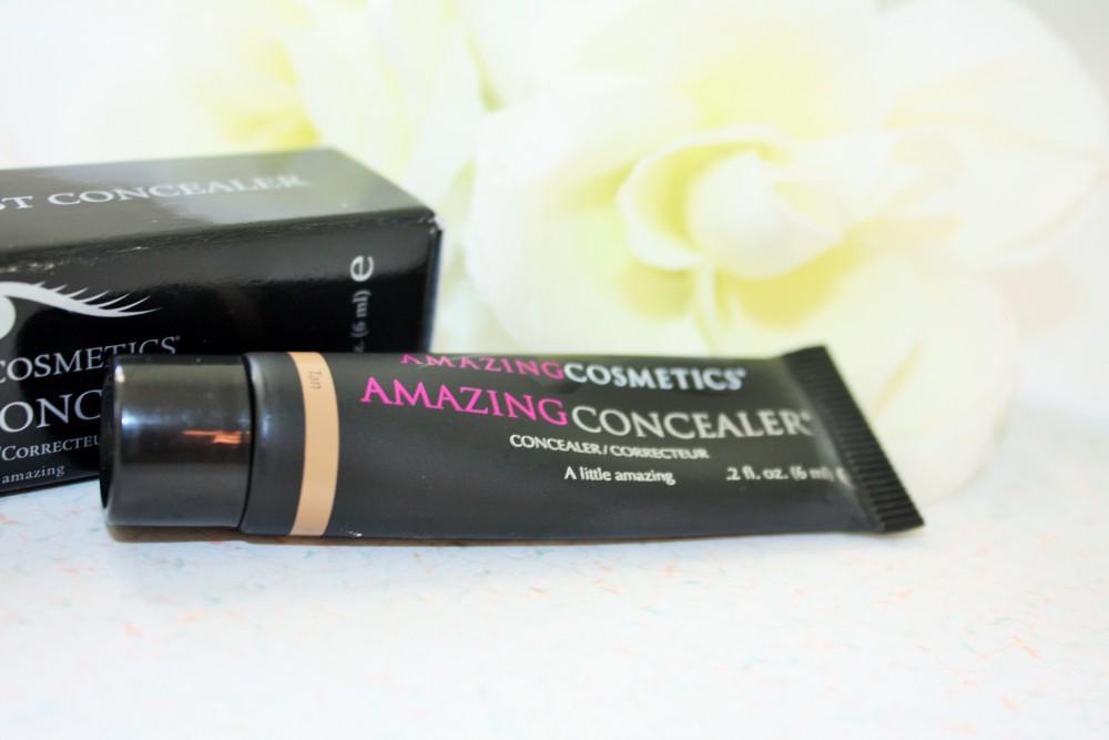 Amazing Cosmetics Amazing Concealer Review002