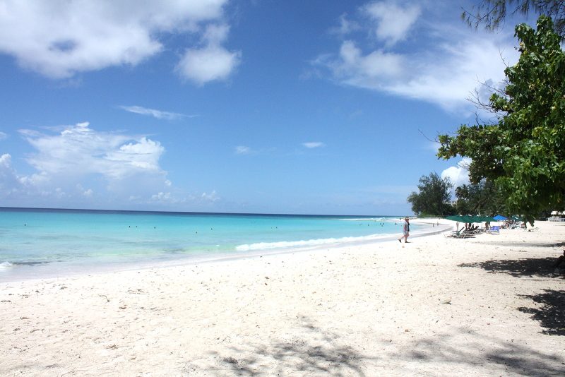 sea beach holiday backdrop