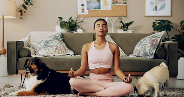 The Soft Reset How to Feel Better in Your Body Without Chasing Perfection